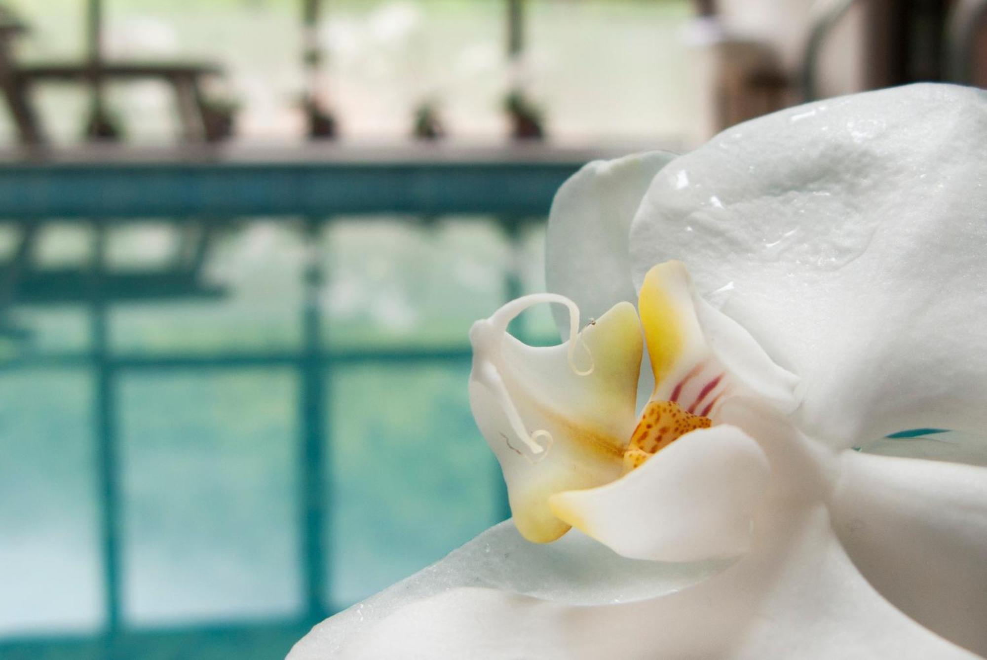 Aqua Varvara Hotel Vetren Dol Zewnętrze zdjęcie